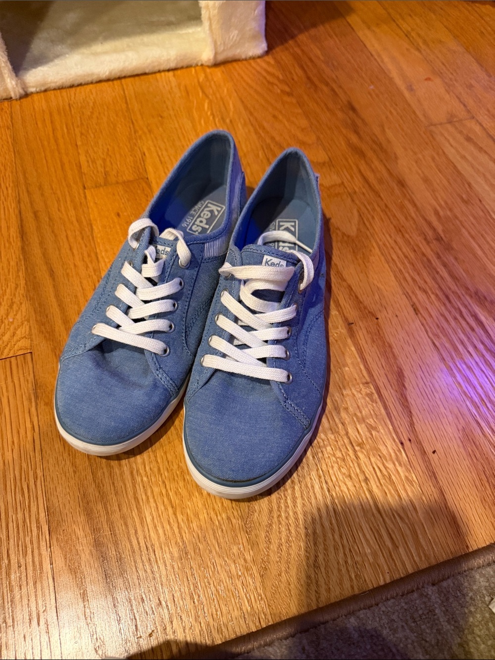 Keds Light Blue Canvas Low-Top Sneakers with White Laces